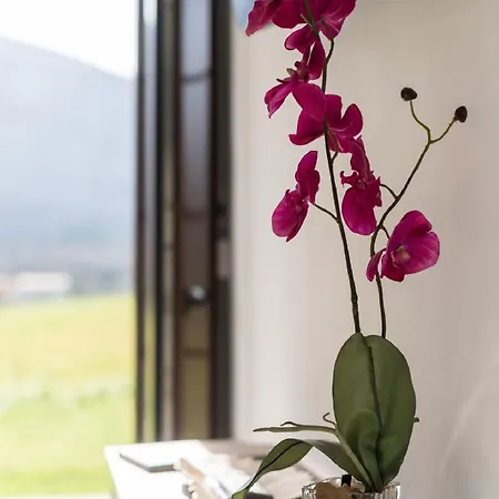 Casa Vacacional El Xuncu Posada De Llanes